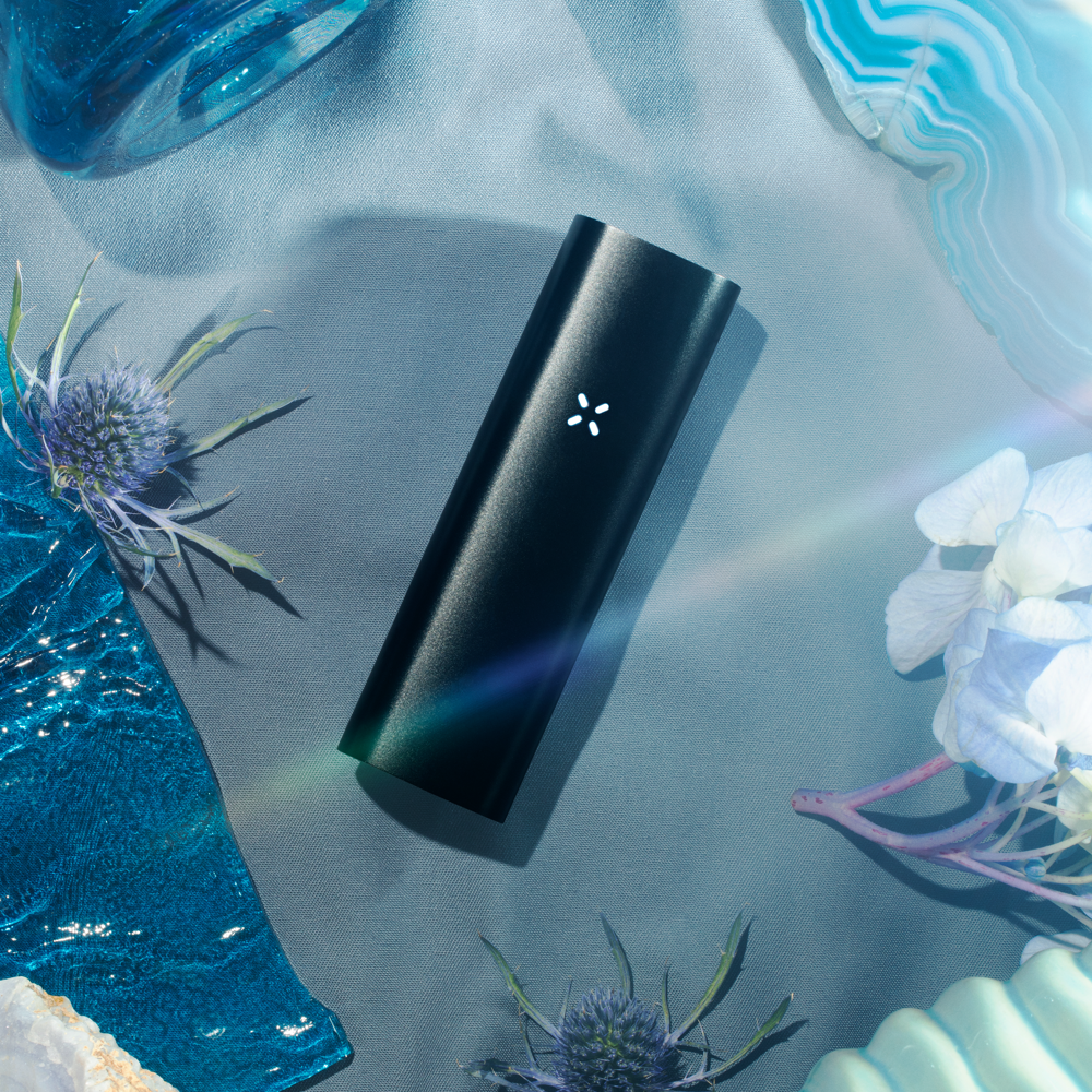 PAX 3 ベーシックキット バーガンディ　ヴェポライザー