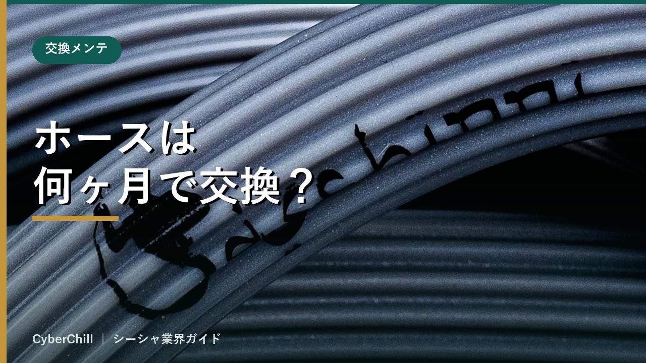 ホースは何ヶ月で交換すべき？