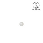 WK-WOOKAH-BODY-ABSTRACT